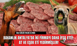 Bakanlık Antalya’da İki Firmayı Daha İfşa Etti!  At ve Eşek Eti Yedirmişler!