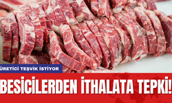 Besicilerden ithalata tepki! Üretici teşvik istiyor