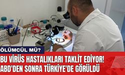 Bu Virüs Hastalıkları Taklit Ediyor! ABD'den Sonra Türkiye'de Görüldü