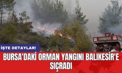 Bursa'daki orman yangını Balıkesir'e sıçradı