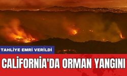 California'da Orman Yangını: Tahliye Emri Verildi