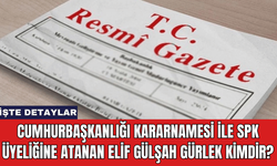 Cumhurbaşkanlığı Kararnamesi ile SPK Üyeliğine Atanan Elif Gülşah Gürlek Kimdir?