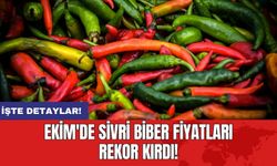 Ekim'de Sivri Biber Fiyatları Rekor Kırdı!