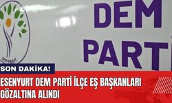 Esenyurt DEM Parti İlçe Eş Başkanları Gözaltına Alındı