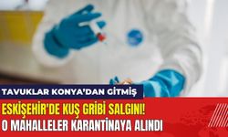 Eskişehir'de Kuş Gribi Salgını! O Mahalleler Karantinaya Alındı