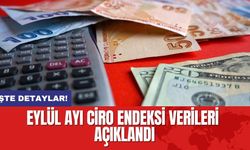 Eylül Ayı Ciro Endeksi Verileri Açıklandı