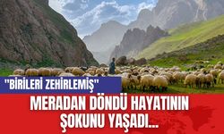 Meradan döndü hayatının şokunu yaşadı... "Birileri zehirlemiş"