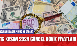 Dolar Ne Kadar? Euro Ne Kadar? 16 Kasım 2024 Güncel Döviz Fiyatları