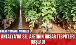 Antalya’da Sel Afetinin Hasar Tespitleri Başladı