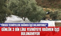 Günlük 3 Bin Lira Yevmiyeye Rağmen İşçi Bulunamıyor