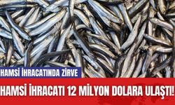 Hamsi İhracatı 12 Milyon Dolara Ulaştı! Hamsi İhracatında Zirve