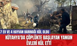 Kütahya'da Çöplükte Başlayan Yangın Evleri Kül Etti