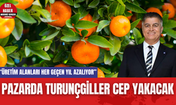 Pazarda Turunçgiller Cep Yakacak! Antalya'da Üretim Alanları Azalıyor