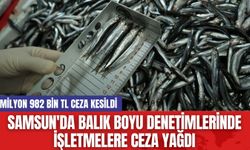 Samsun'da Balık Boyu Denetimlerinde İşletmelere Ceza Yağdı