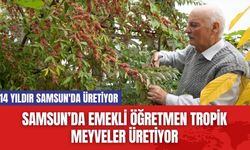 Samsun’da Emekli Öğretmen Tropik Meyveler Üretiyor