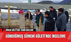 Gündoğmuş Sümeni Göleti’nde İnceleme