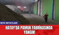 Hatay'da pamuk fabrikasında yangın!