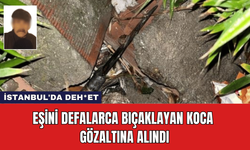 İstanbul'da Deh*et: Eşini Defalarca Bıçaklayan Koca Gözaltına Alındı