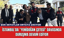 İstanbul'da "Yenidoğan Çetesi" Davasında Duruşma Devam Ediyor