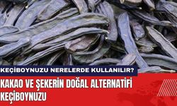 Kakao ve Şekerin Doğal Alternatifi Keçiboynuzu