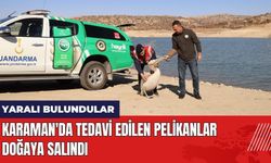 Karaman'da Tedavi Edilen Pelikanlar Doğaya Salındı