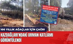 Kazdağları'ndaki Orman Katliamı Görüntülendi