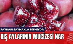 Kış Aylarının Mucizesi Nar! Faydası Saymakla Bitmiyor