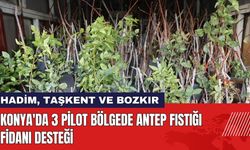 Konya'da 3 Pilot Bölgede Antep Fıstığı Fidanı Desteği