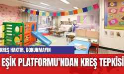 EŞİK Platformu'ndan kreş tepkisi: Kreş Haktır, Dokunmayın