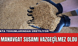 Manavgat Susamı Vazgeçilmez Oldu