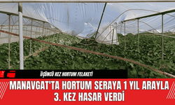 Manavgat'ta Hortum Seraya 1 Yıl Arayla 3. Kez Hasar Verdi