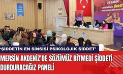 Mersin Akdeniz'de Sözümüz Bitmedi Şiddeti Durduracağız Paneli