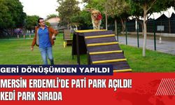 Mersin Erdemli'de Pati Park Açıldı! Kedi Park Sırada