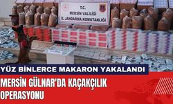 Mersin Gülnar'da Kaçakçılık Operasyonu!