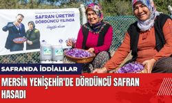 Mersin Yenişehir'de Dördüncü Safran Hasadı