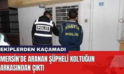 Mersin'de Aranan Şüpheli Koltuğun Arkasından Çıktı