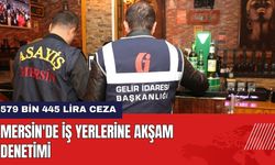 Mersin'de İş Yerlerine Akşam Denetimi!