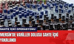 Mersin'de Variller Dolusu Sahte İçki Yakalandı