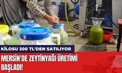 Mersin'de Zeytinyağı Üretimi Başladı! Kilosu 300 TL