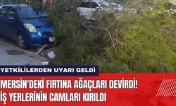 Mersin'deki Fırtına Ağaçları Devirdi! İş Yerlerinin Camları Kırıldı