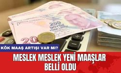 Meslek Meslek Yeni Maaşlar Belli Oldu