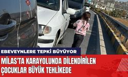 Milas'ta Karayolunda Dilendirilen Çocuklar Büyük Tehlikede