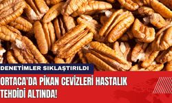 Ortaca'da Pikan Cevizleri Hastalık Tehdidi Altında! Denetimler Sıklaştırıldı