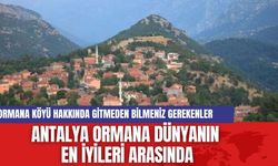 Antalya Ormana Dünyanın En İyileri Arasında