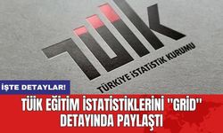 TÜİK Eğitim İstatistiklerini "Grid" Detayında Paylaştı