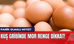 Uzmandan Kuş Gribi Uyarısı: Mor Renk Varsa Dikkat!