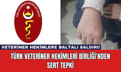 Veteriner Hekimlere Baltalı Saldırı! Türk Veteriner Hekimleri Birliği'nden Sert Tepki