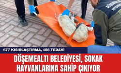 Döşemealtı Belediyesi, Sokak Hayvanlarına Sahip Çıkıyor: 677 Kısırlaştırma, 156 Tedavi