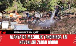 Alanya’da Mezarlık Yangınında Arı Kovanları Zarar Gördü