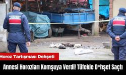 Annesi Horozları Komşuya Verdi! Tüfekle D*hşet Saçtı